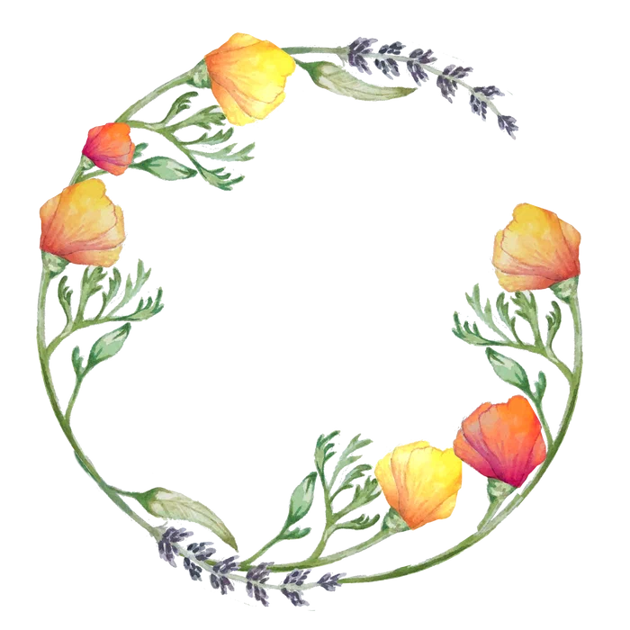 Watercolor wreath of California poppies and lavender