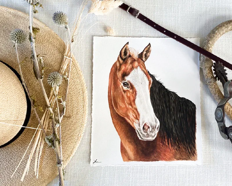 Watercolor portrait of a bay horse with a white blaze