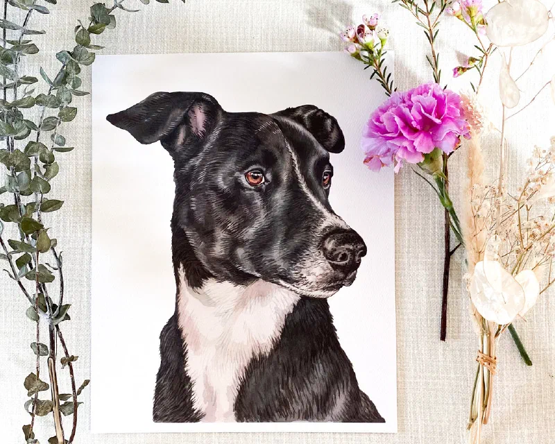 Watercolor portrait of a black-and-white dog