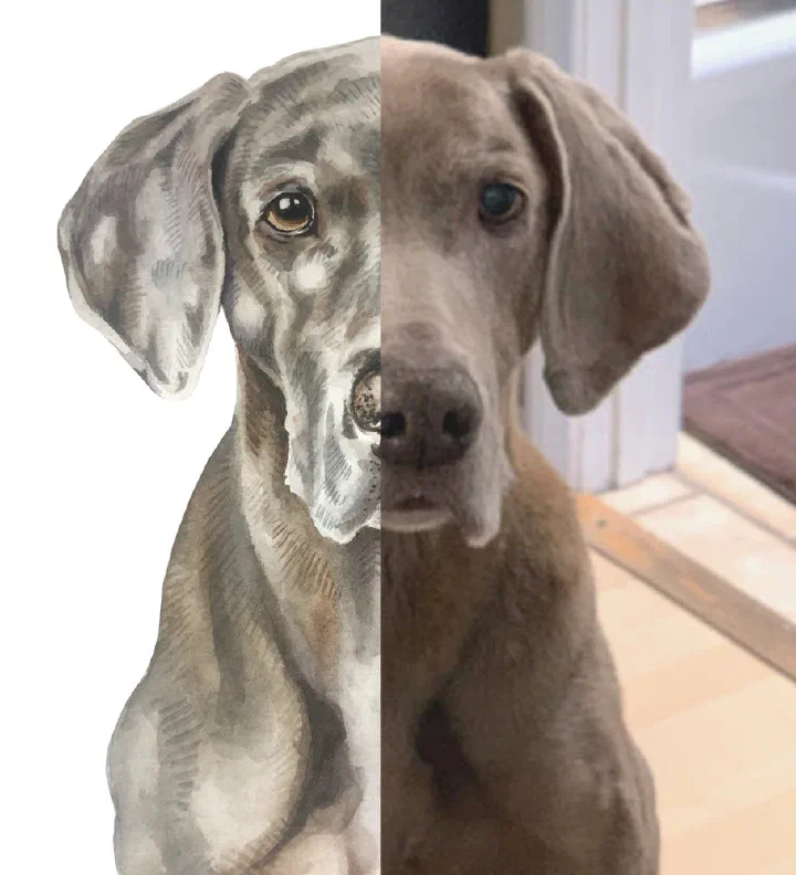 A dog reference photo beside the finished watercolor portrait