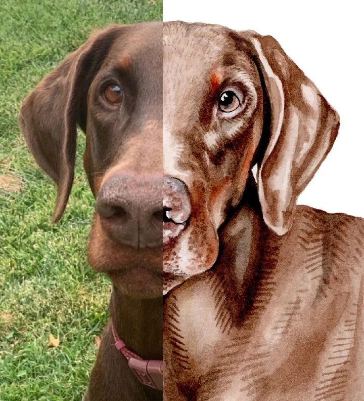A dog reference photo beside the finished watercolor portrait